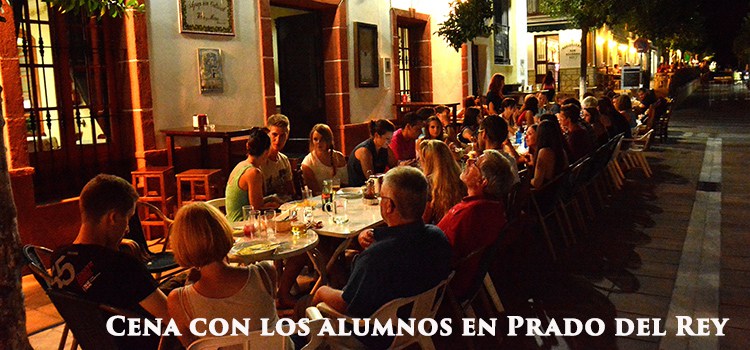  (image: https://wdb.fh-sm.de/uploads/AcademiaPradoventura/Dinner-students-of-spanish-Prado-del-Rey.jpg) 